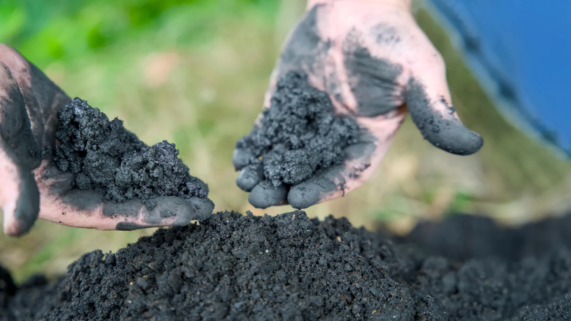 Biochar application in agricultural soil in Aragon, Spain