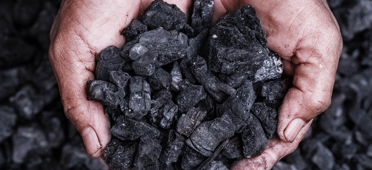 Biochar - Carbon-rich biochar for soil amendment, carbon sequestration, and agricultural productivity enhancement